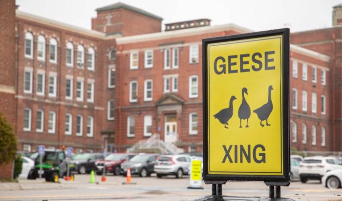 QCC's new Geese Crossing Signage