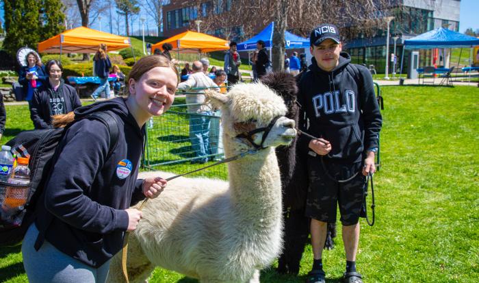 The alpacas are a crowd favorite at Fresh Check Day.