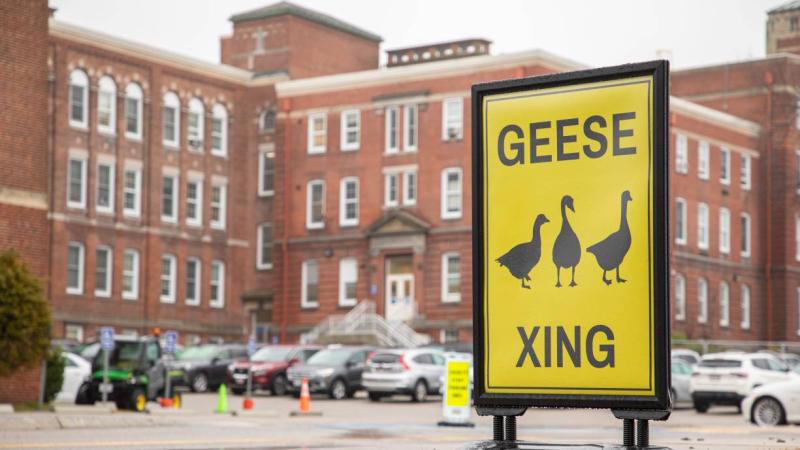 QCC's new Geese Crossing Signage