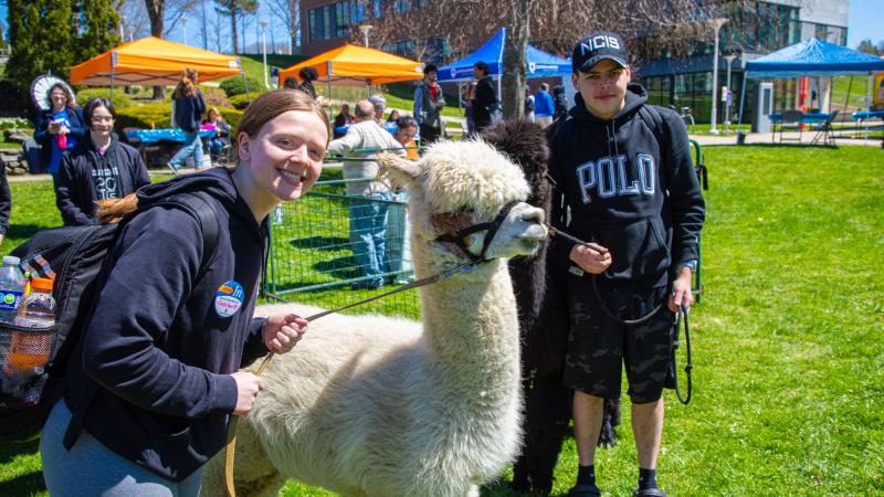 The alpacas are a crowd favorite at Fresh Check Day.